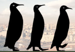 Отель «3 пингвина» отзывы