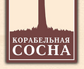 Компания «Корабельная сосна» отзывы